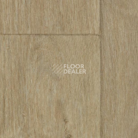 Линолеум Forbo SureStep Decibel 71888/718882 classic oak фото 1 | FLOORDEALER